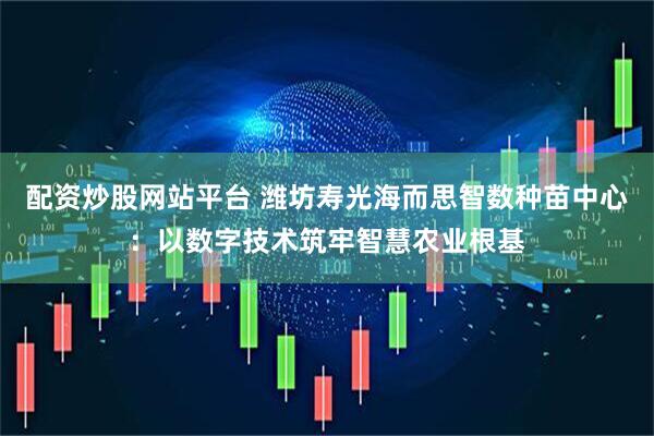 配资炒股网站平台 潍坊寿光海而思智数种苗中心：以数字技术筑牢智慧农业根基